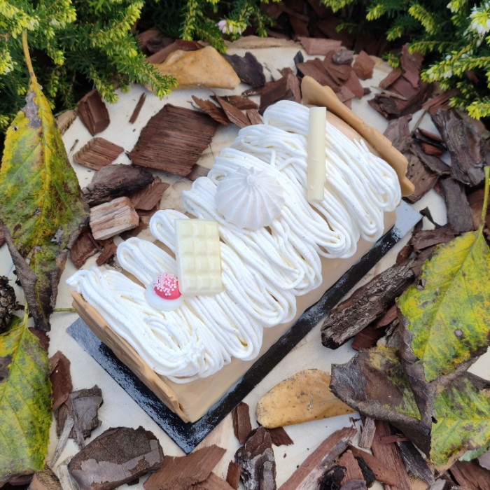 dpat_la-buche-speculoos-vanille